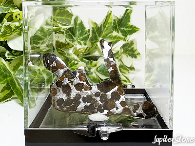 pallasite-genseki-okimono-j