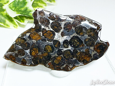 pallasite-genseki-okimono-k